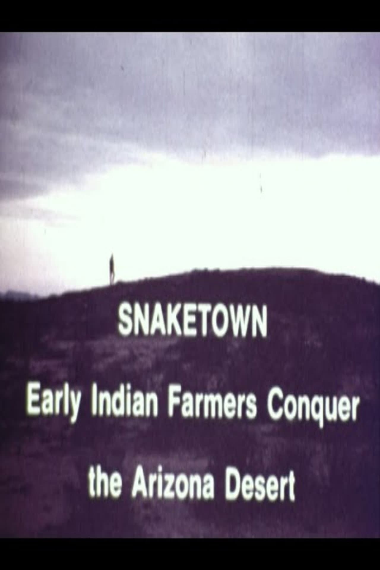 Snaketown- Early Indian Farmers Conquer the Arizona Desert preview 1