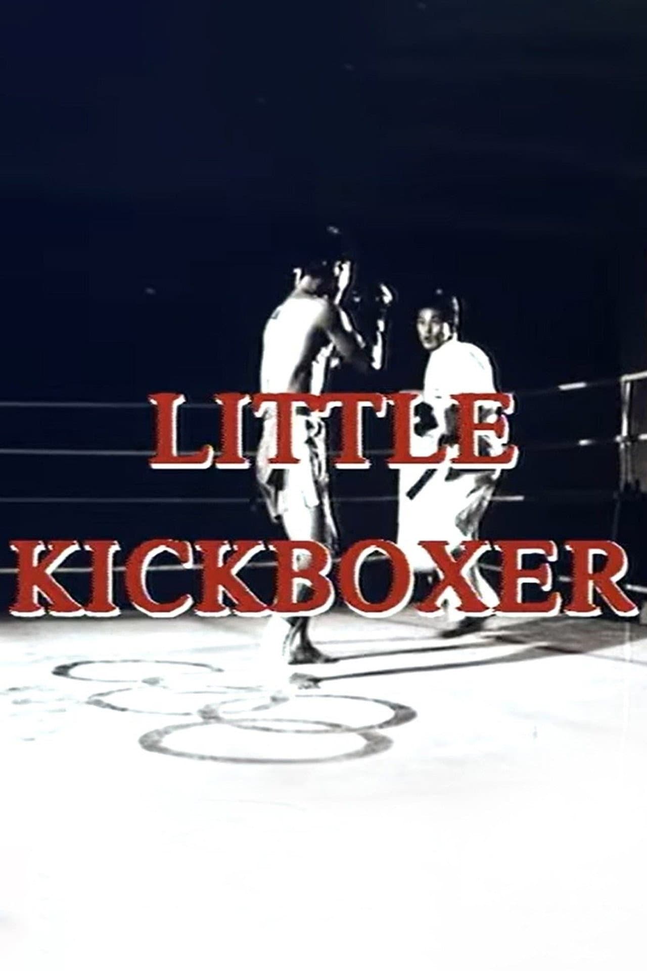 Thunder Ninja Kids 5: Little Kickboxer preview 2