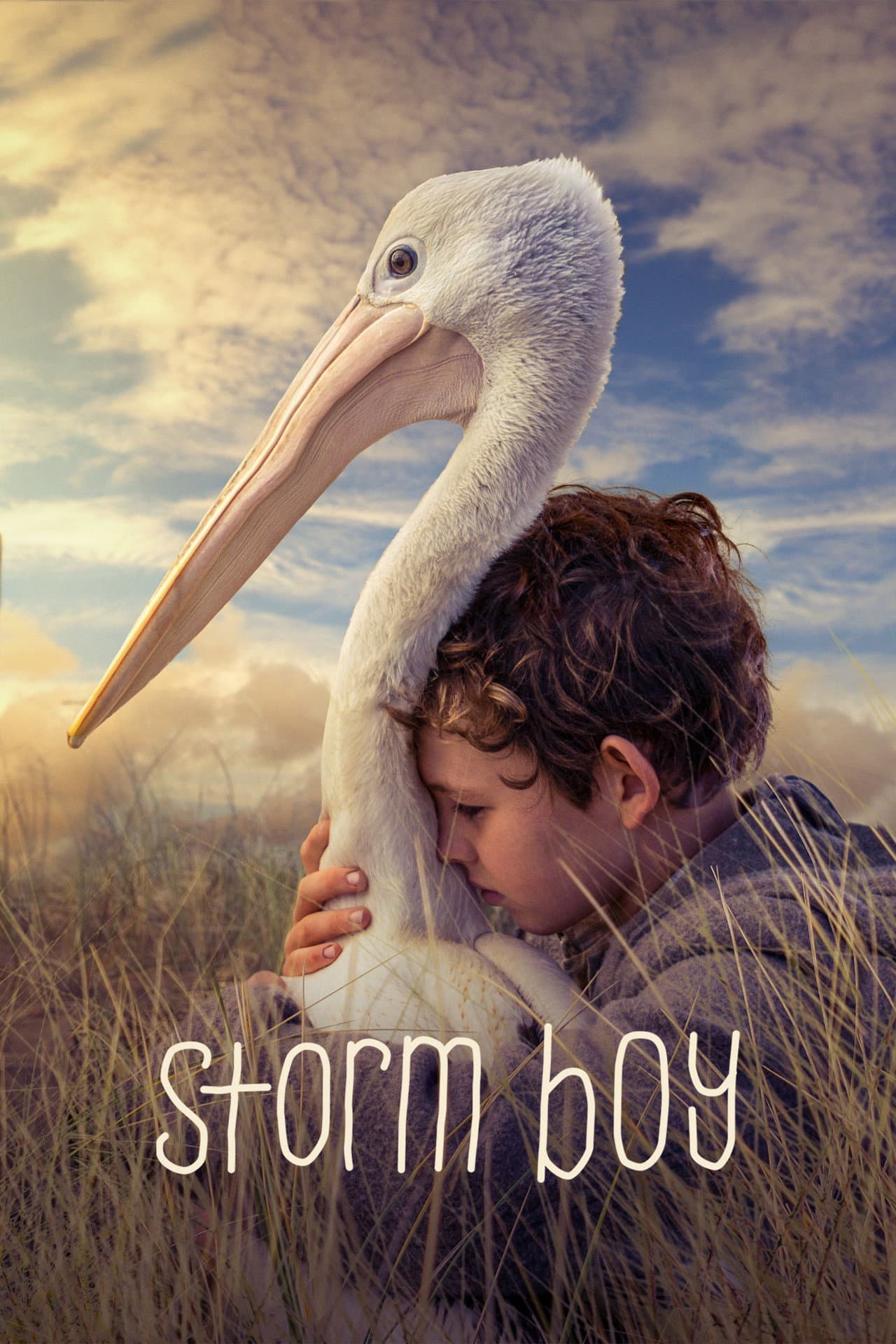 Storm Boy preview 2