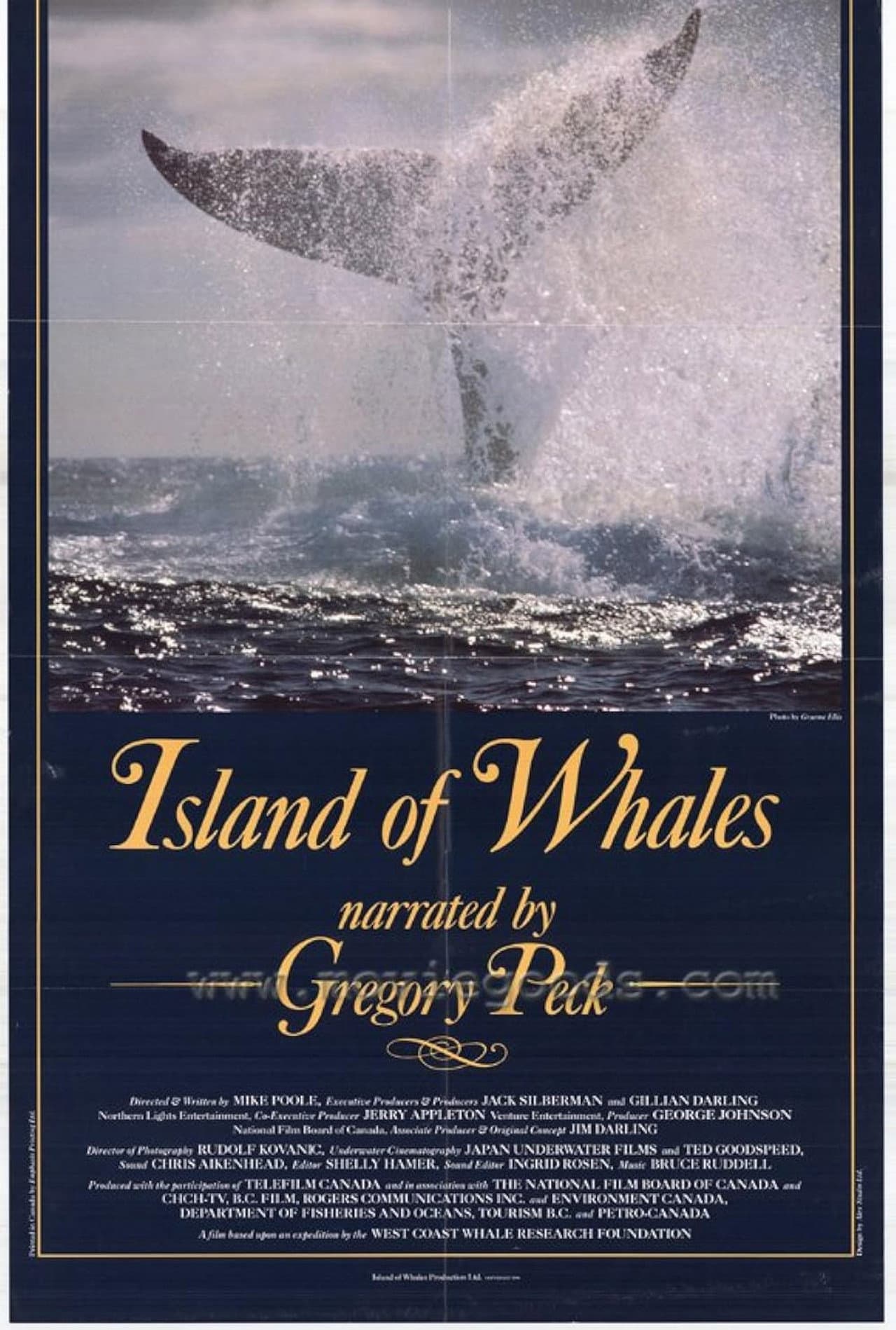 Island of Whales preview 2