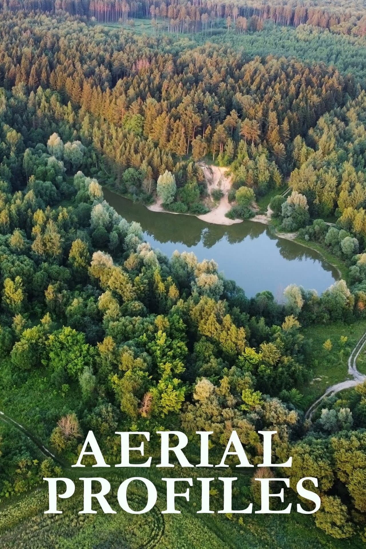 Aerial Profiles preview 2