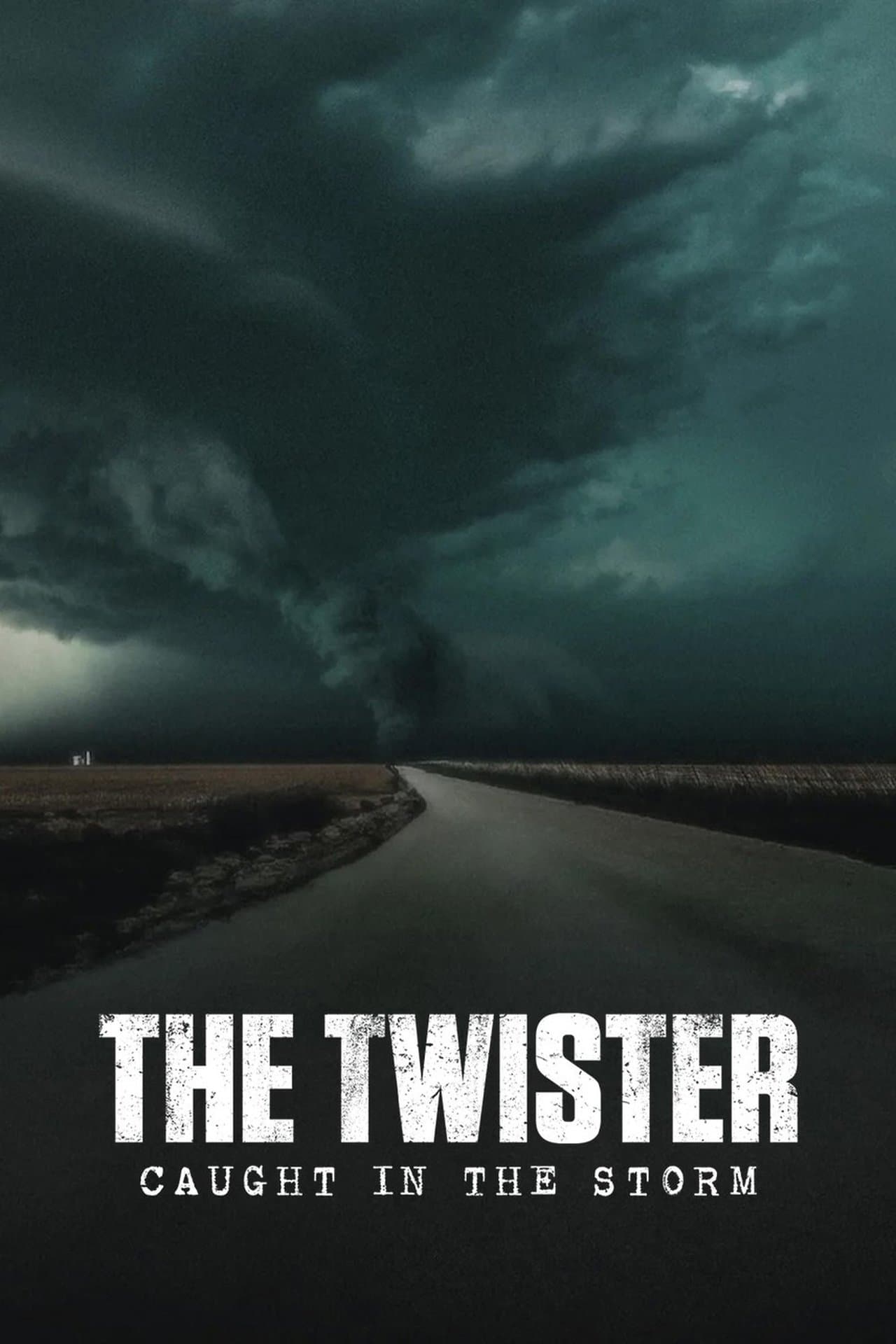 The Twister: Caught in the Storm preview 2