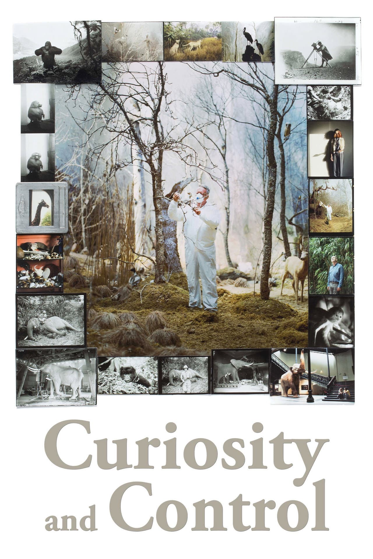 Curiosity and Control preview 2