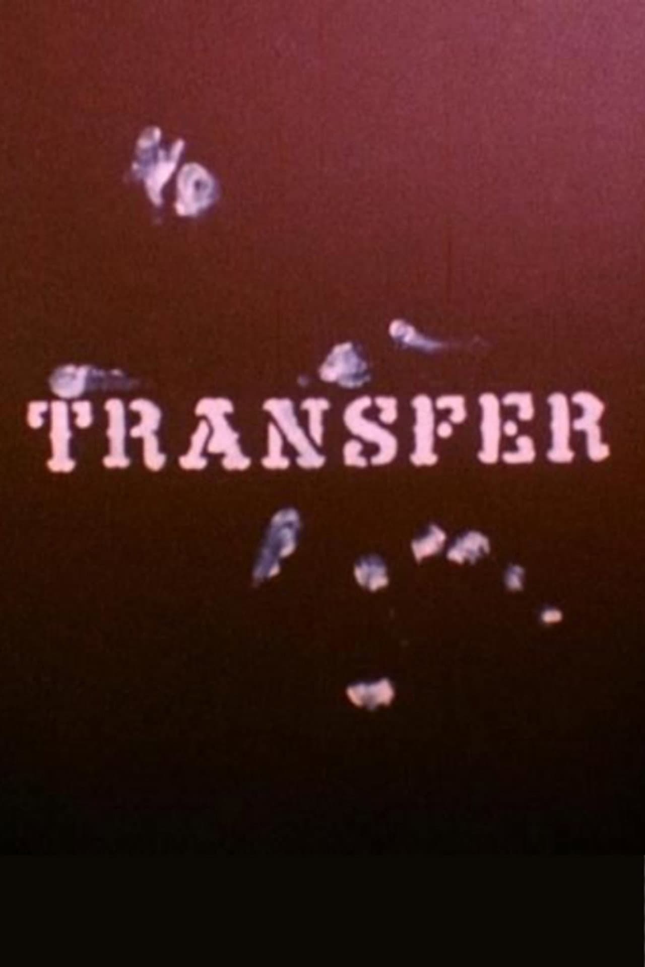Transfer preview 2