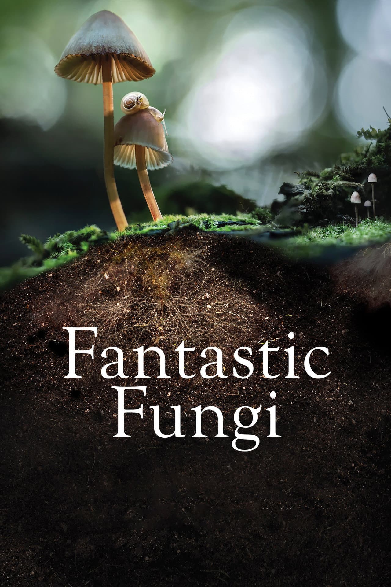 Fantastic Fungi preview 2