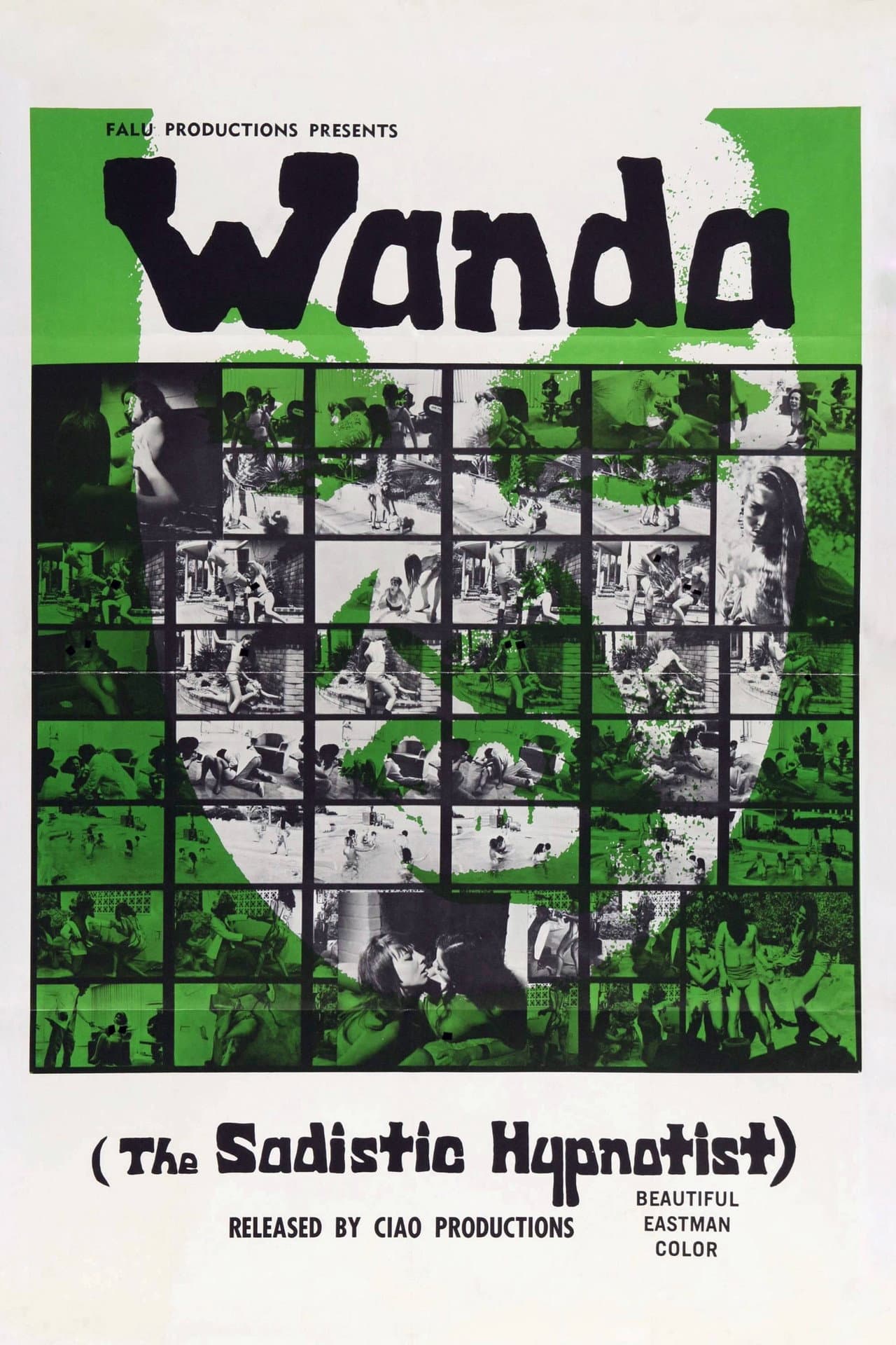 Wanda - The Sadistic Hypnotist preview 1