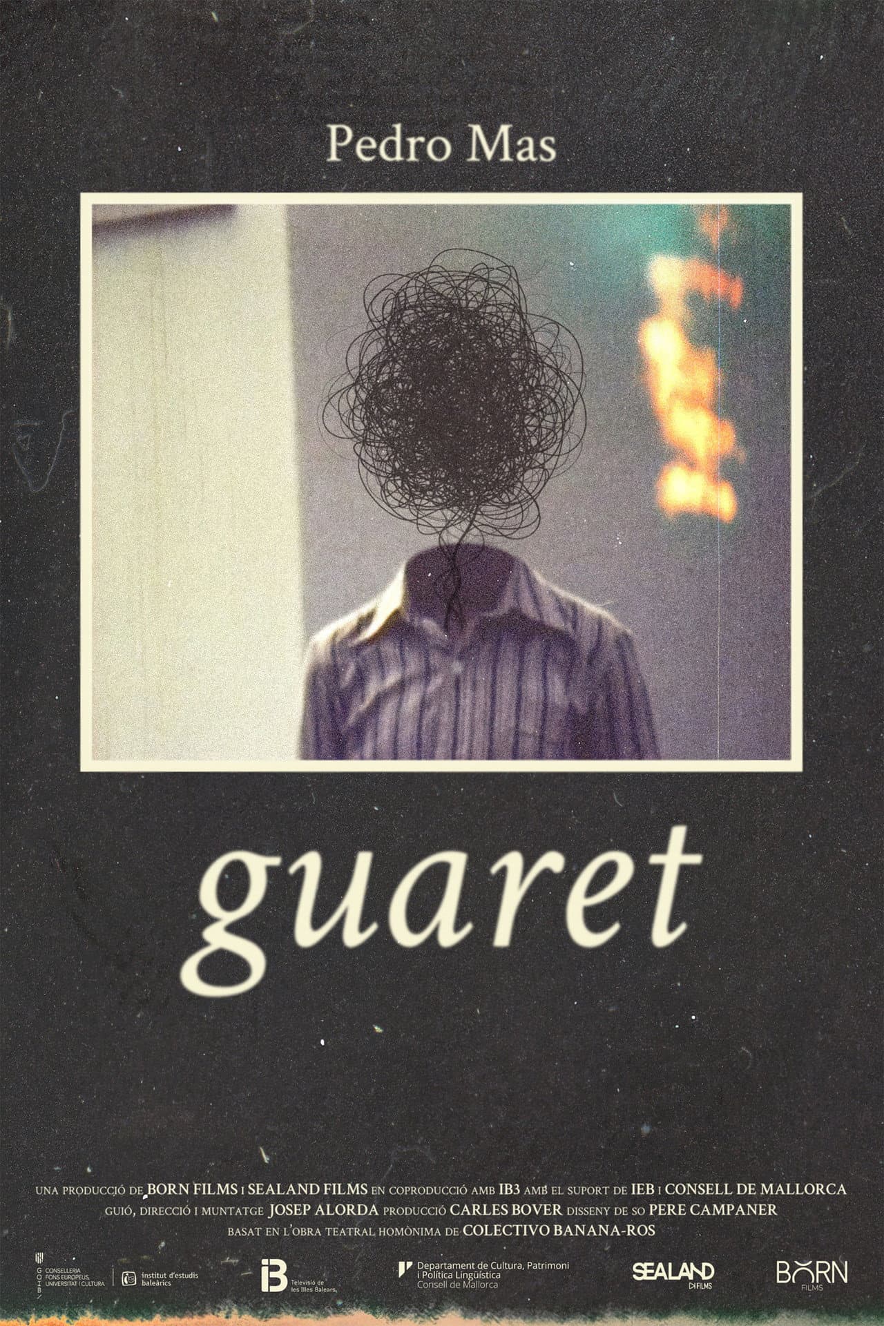 Guaret preview 2