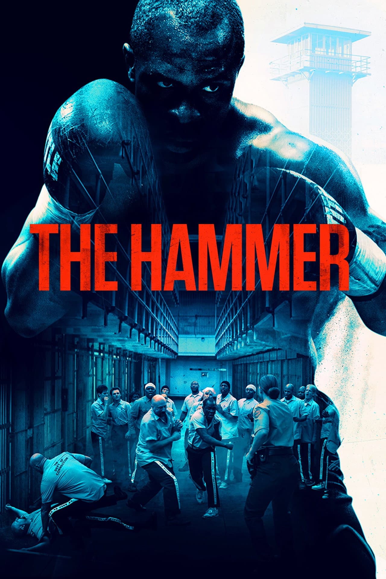 The Hammer preview 2