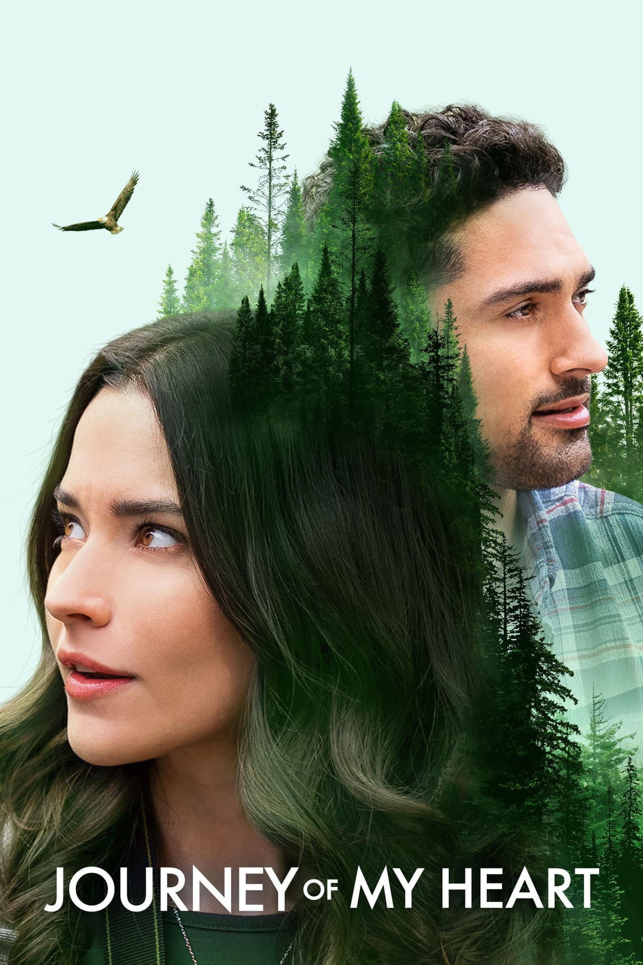 Journey of My Heart preview 2