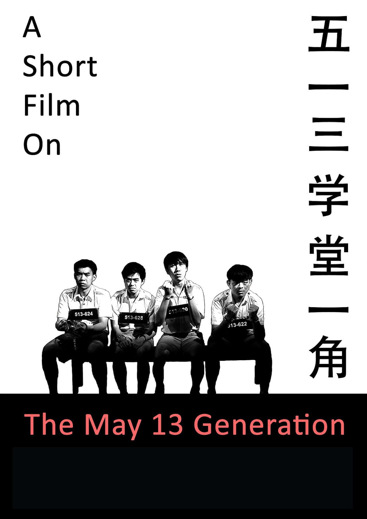 A Short Film on the May 13 Generation preview 1