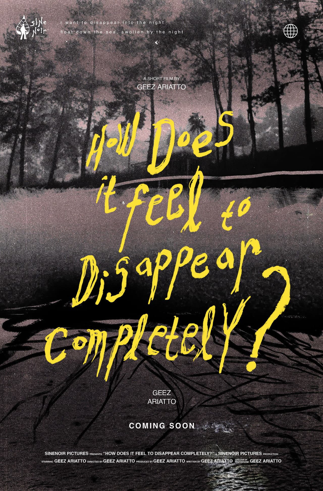 How Does It Feel to Disappear Completely? preview 2