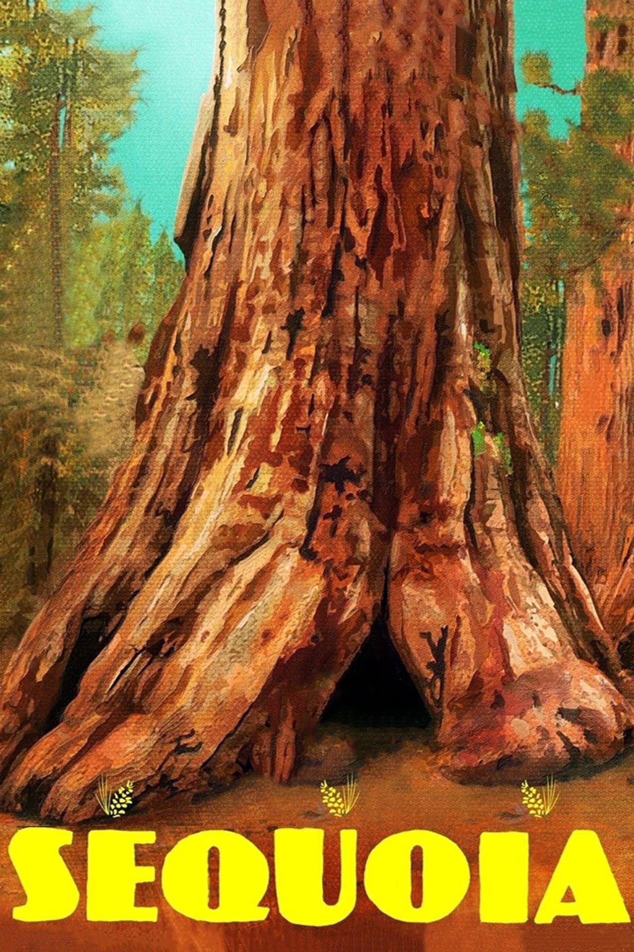 Sequoia preview 2