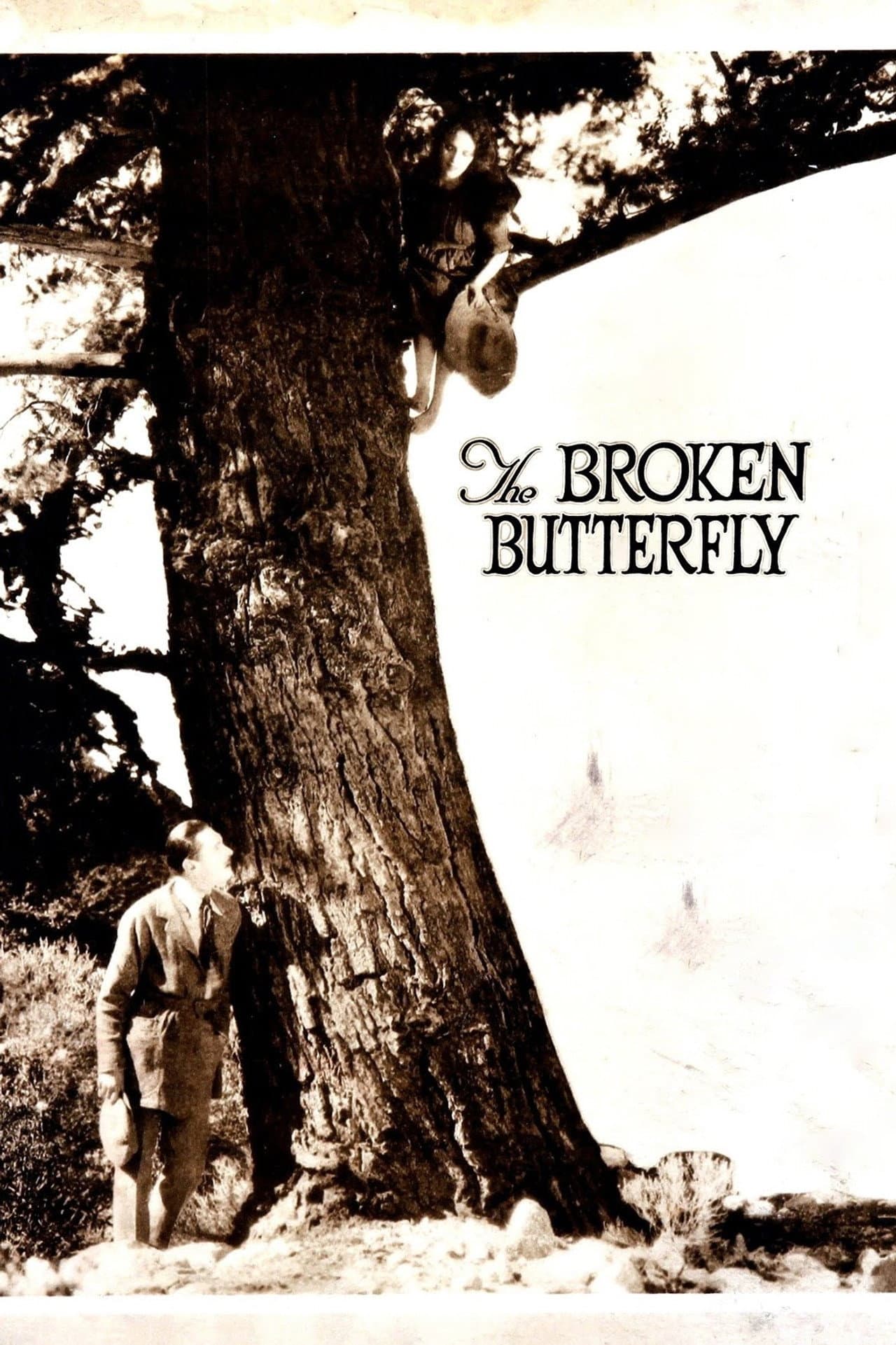 The Broken Butterfly preview 2