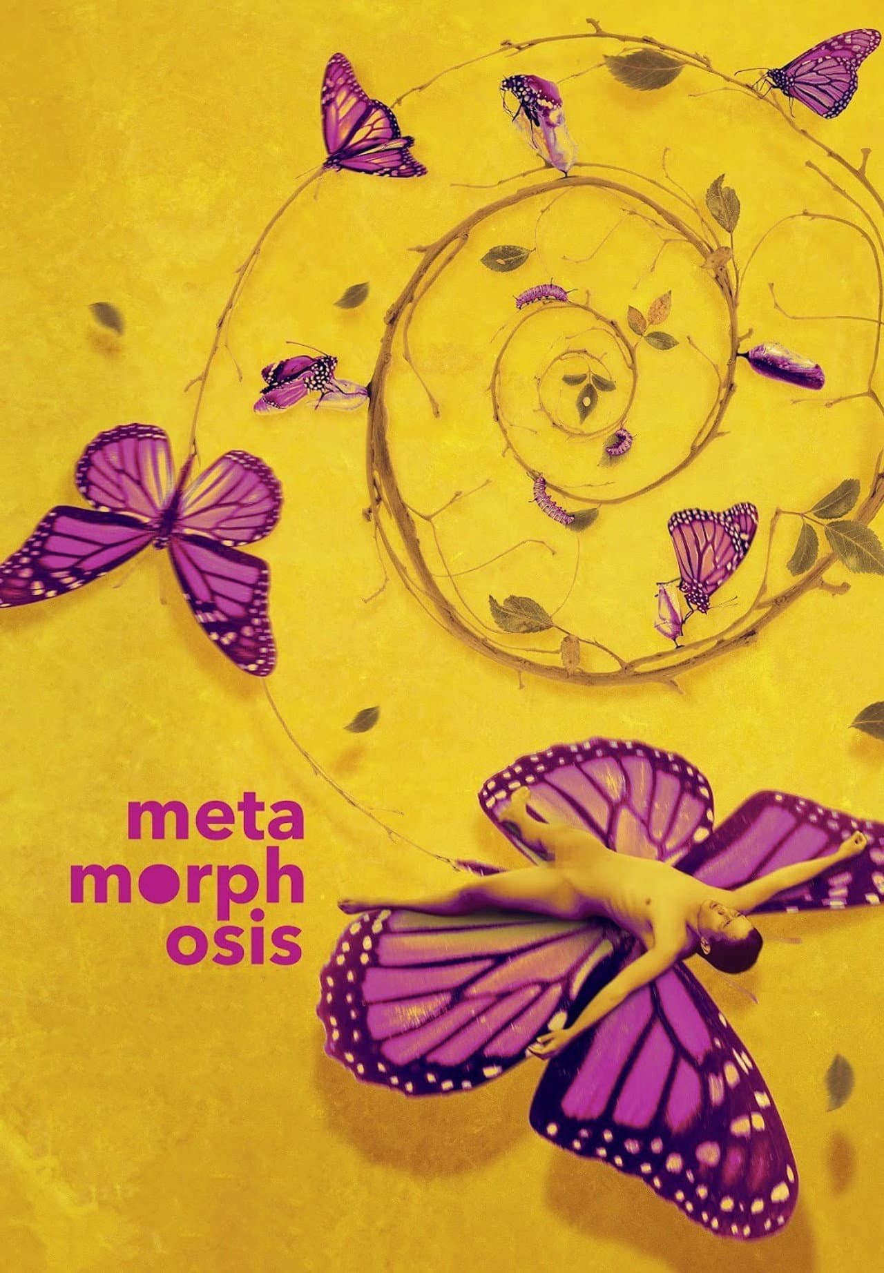 Metamorphosis preview 2