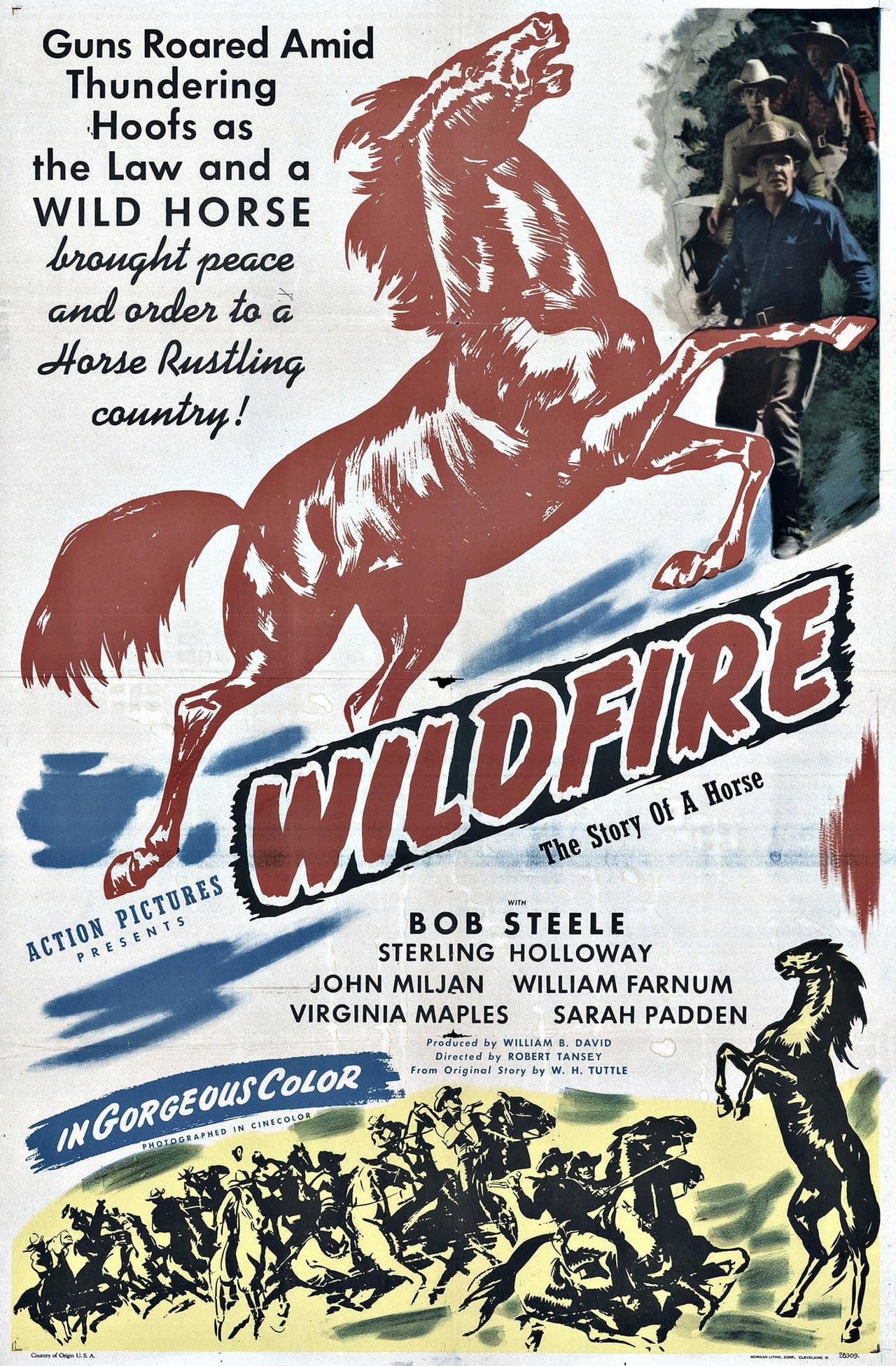 Wildfire preview 2