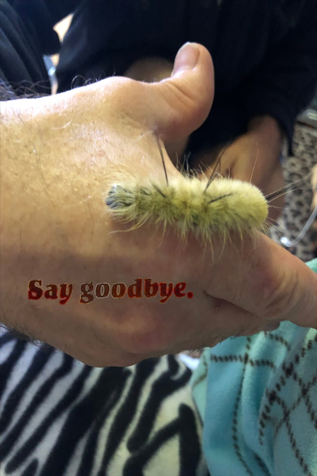 Say Goodbye preview 1