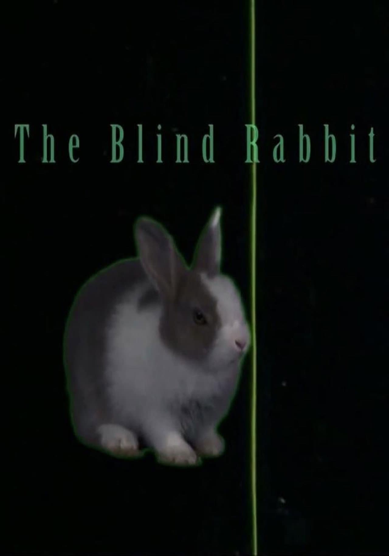 The Blind Rabbit preview 1