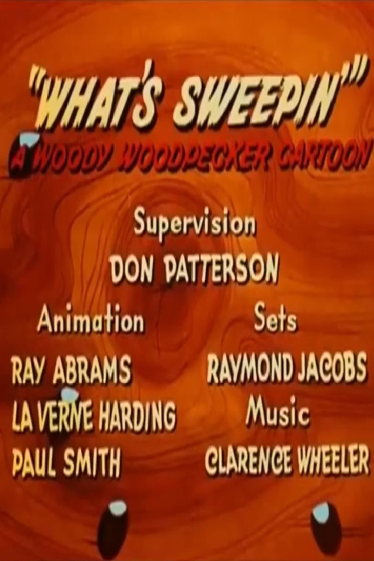 What's Sweepin'? preview 2
