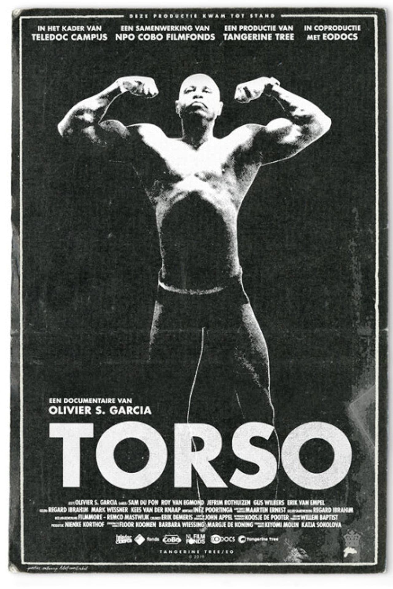 Torso preview 1