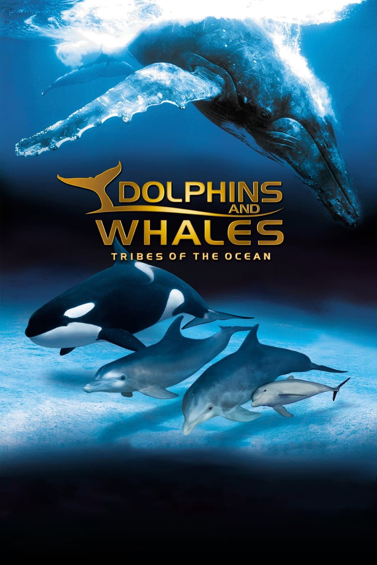 IMAX Dolphins and Whales: Tribes of the Ocean preview 2