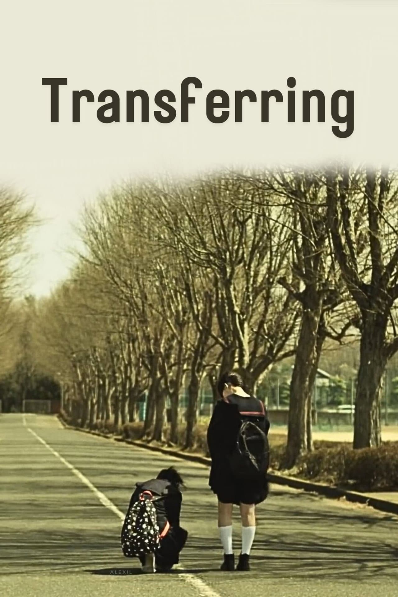 Transferring preview 2