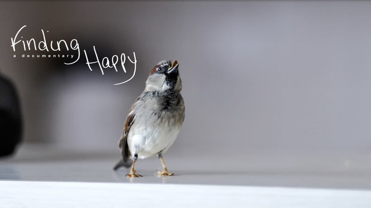 Finding Happy