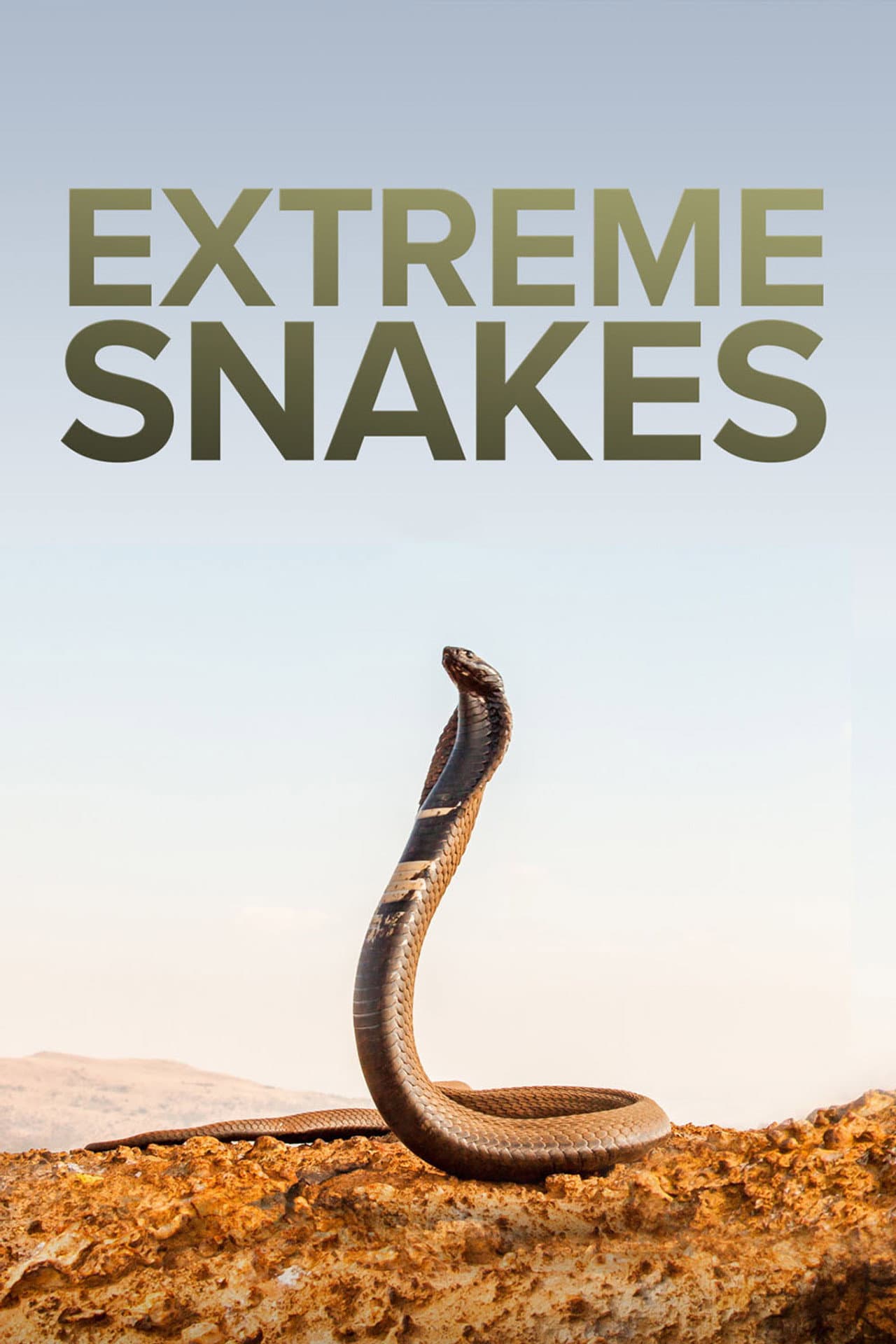 Extreme Snakes preview 2