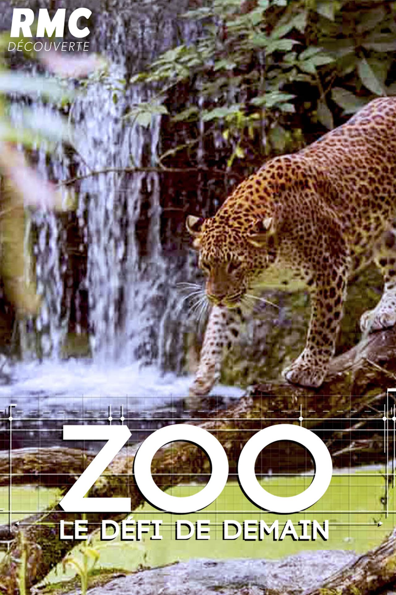 Zoo : le défi de demain preview 2
