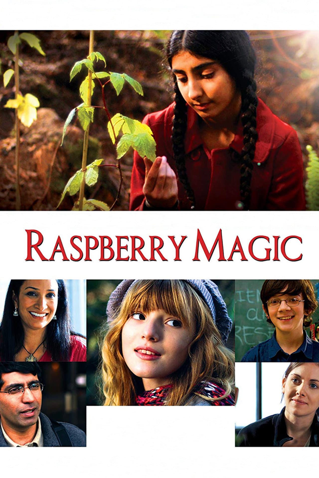 Raspberry Magic preview 2