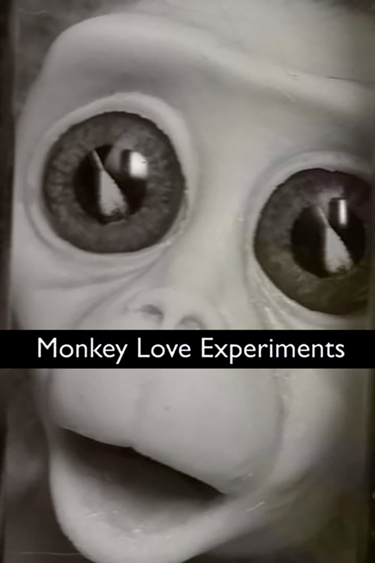 Monkey Love Experiments preview 2