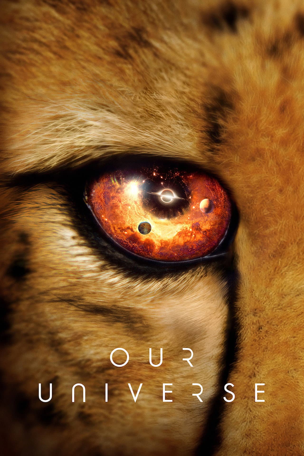 Our Universe preview 2