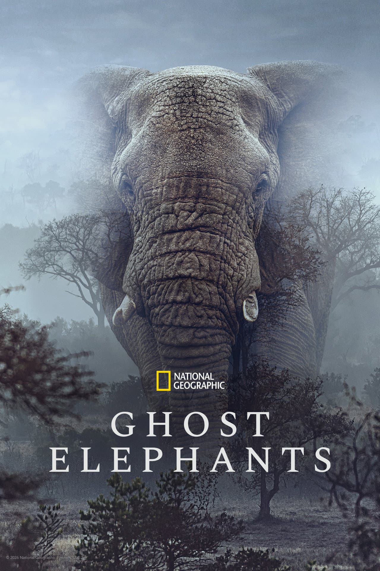 Ghost Elephants preview 2