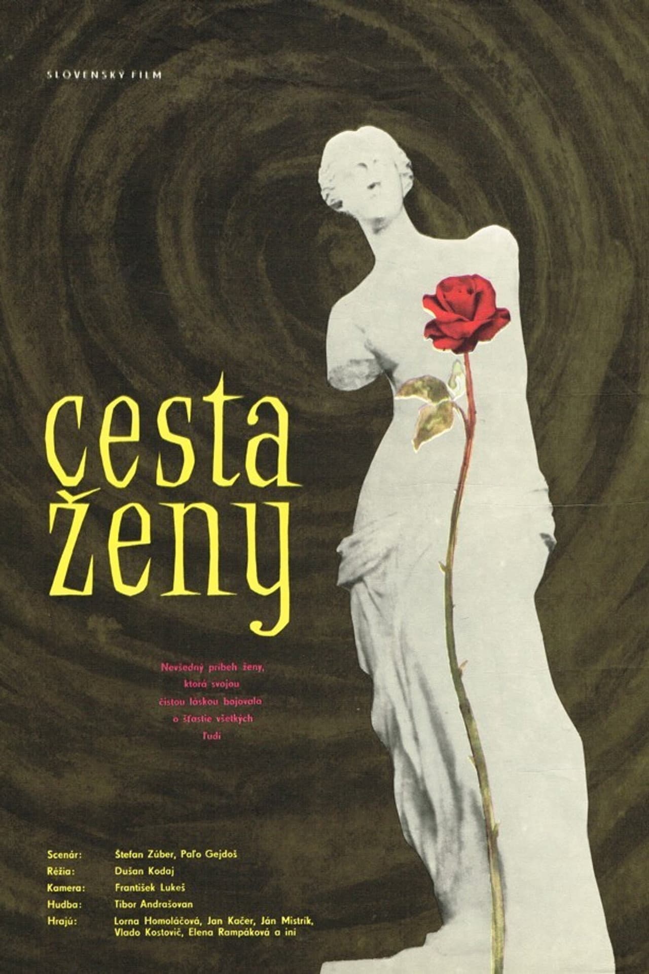 Cesta ženy preview 1