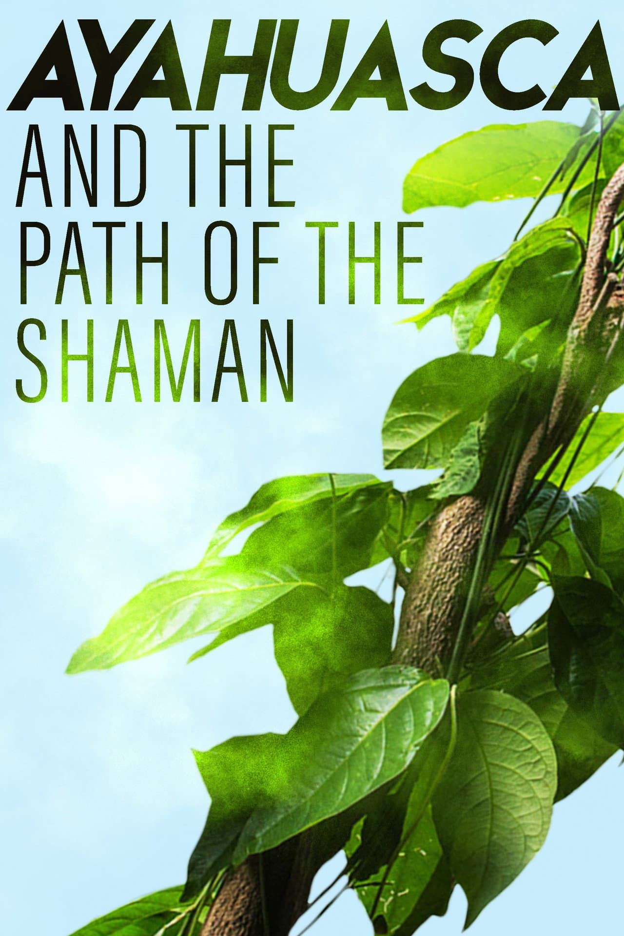 Ayahuasca and the Path of the Shaman preview 1