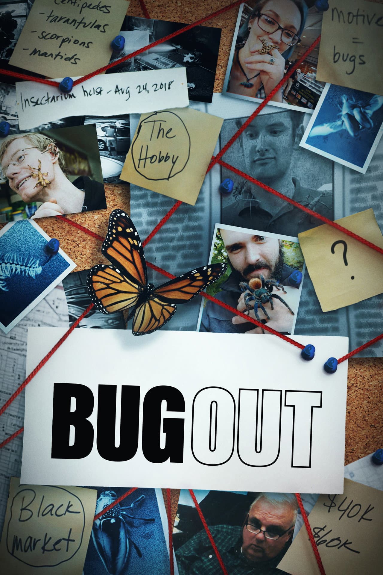 Bug Out preview 2
