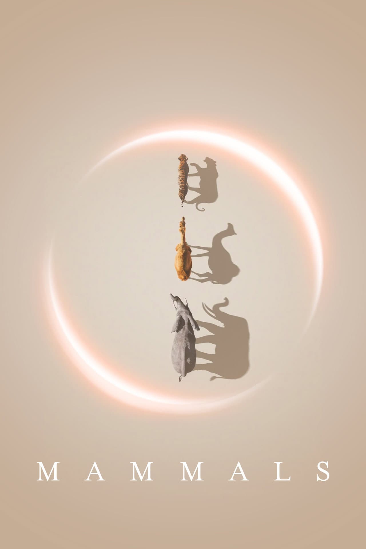 Mammals preview 2
