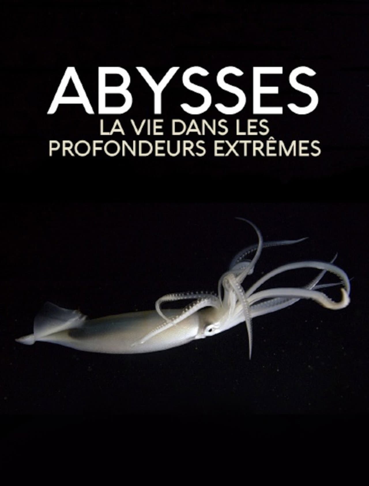 Extreme der Tiefsee - Abysses preview 2