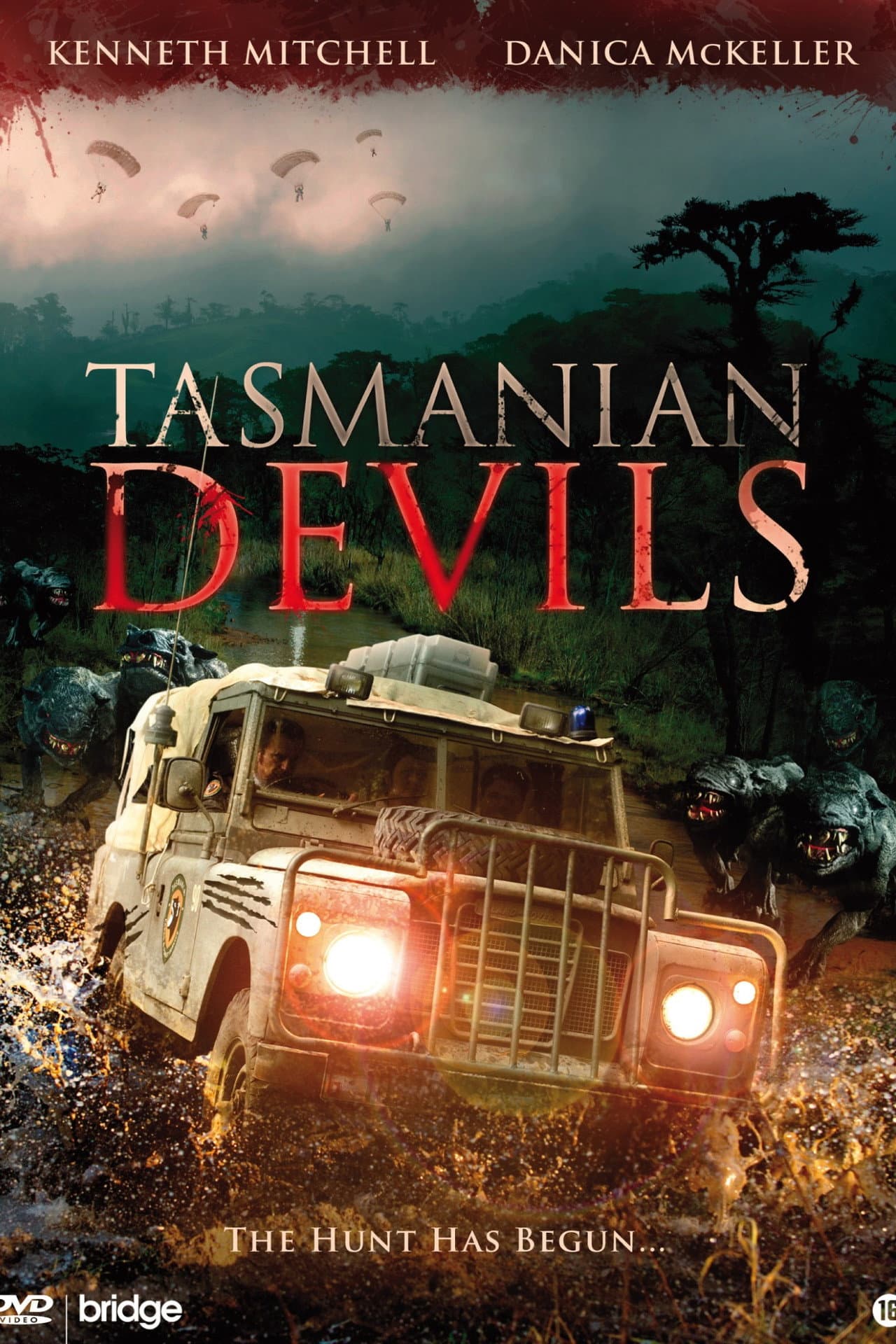Tasmanian Devils preview 2