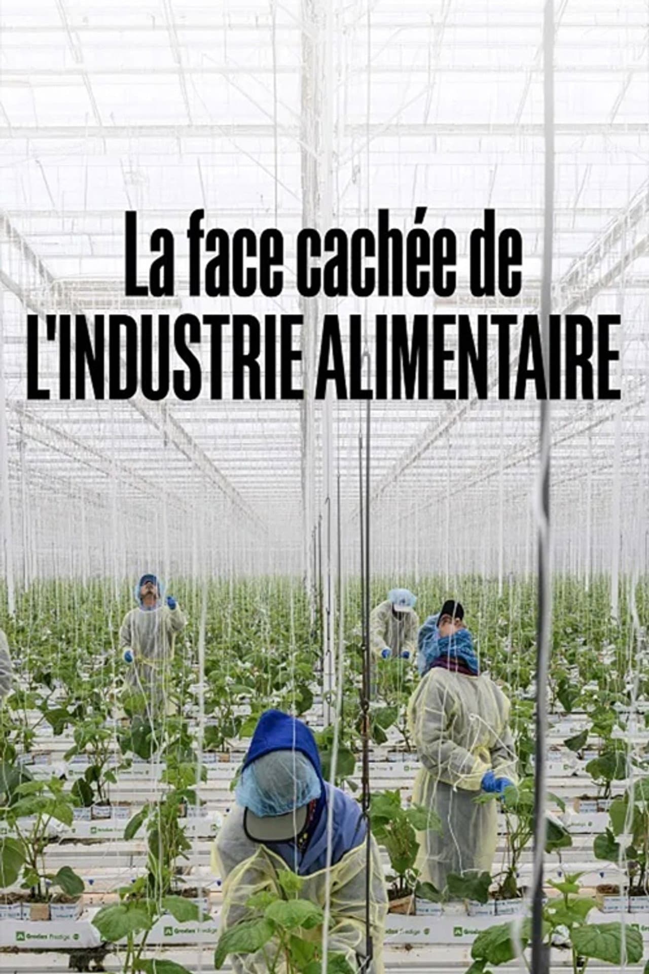 La face cachée de l'industrie alimentaire preview 2