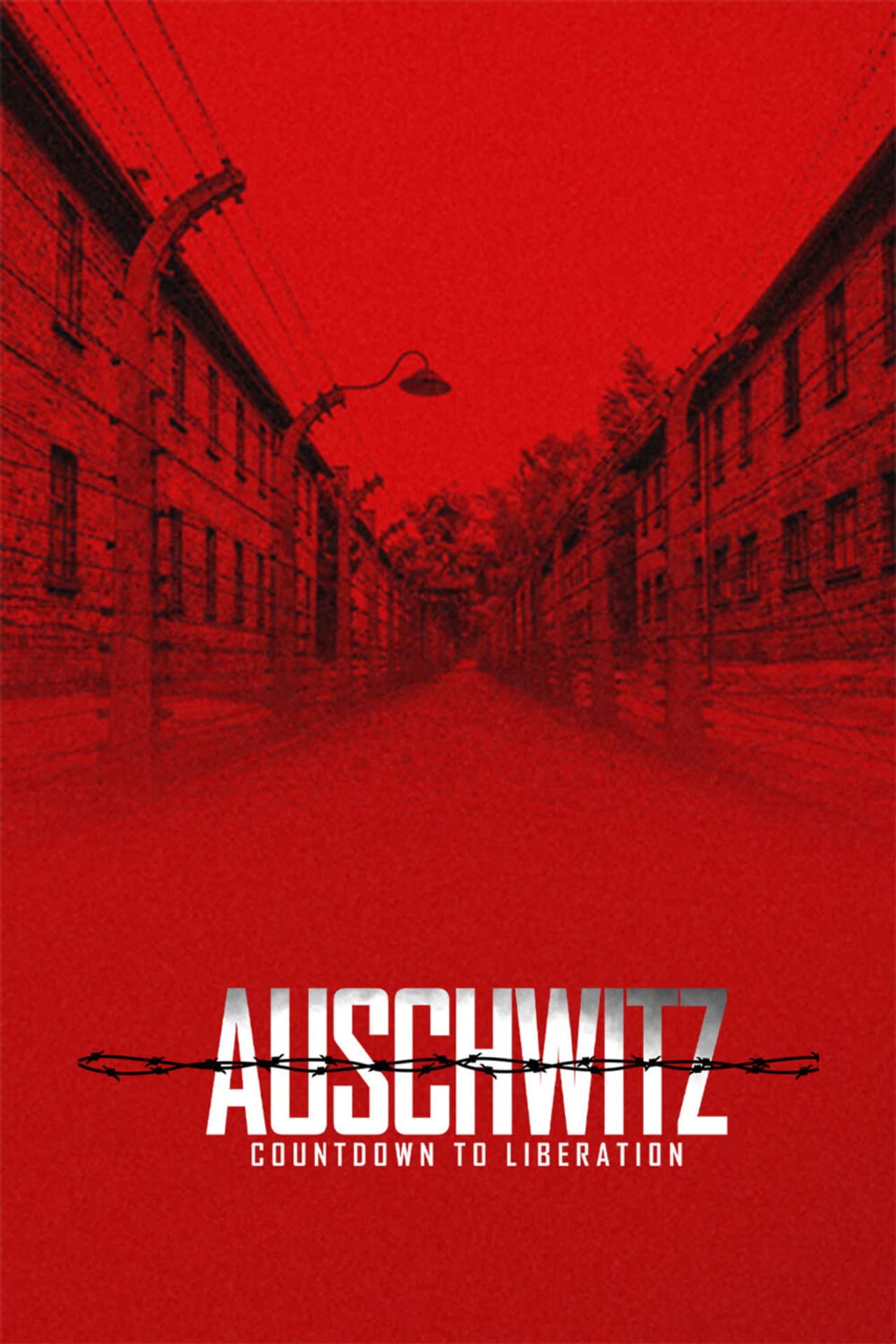 Auschwitz: Countdown To Liberation preview 2