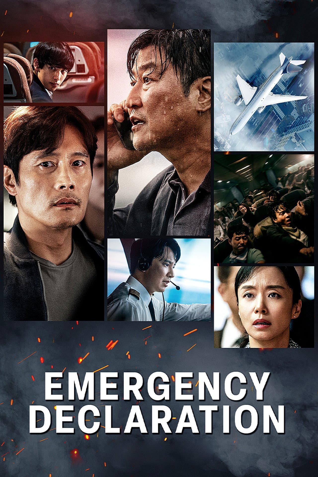 Emergency Declaration preview 2