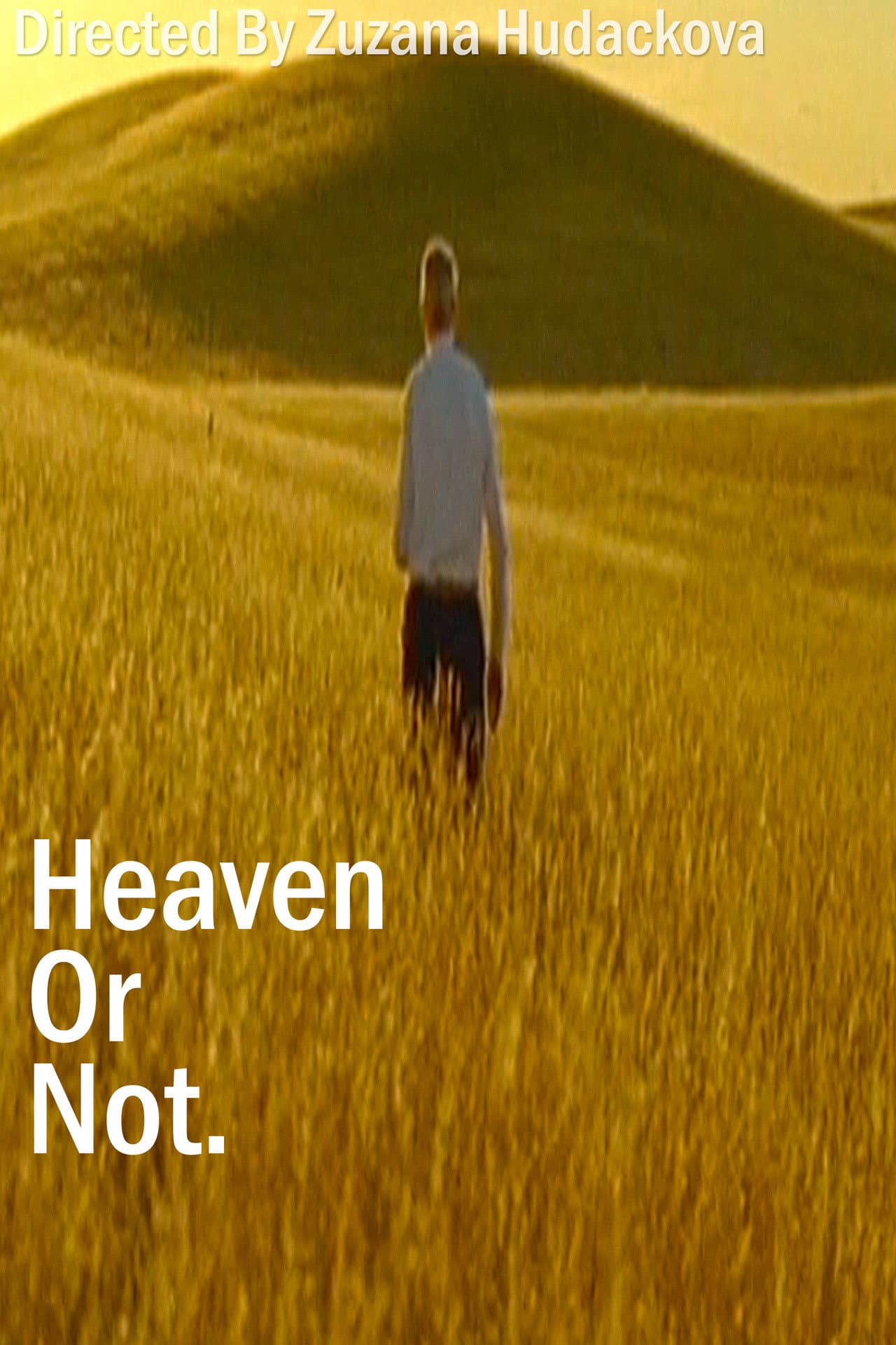 Heaven Or Not preview 1