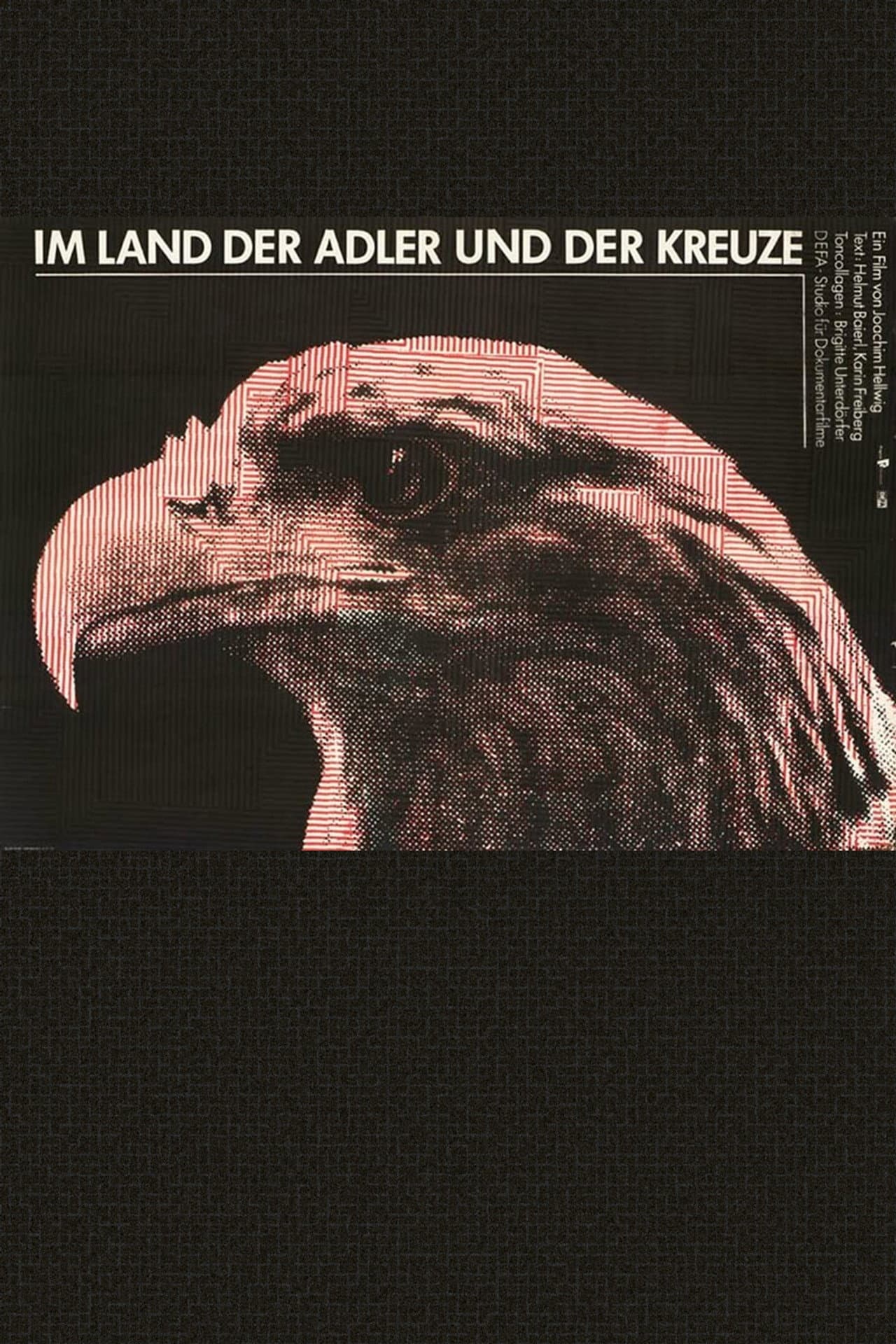 In the Land of Eagles and Crosses preview 2