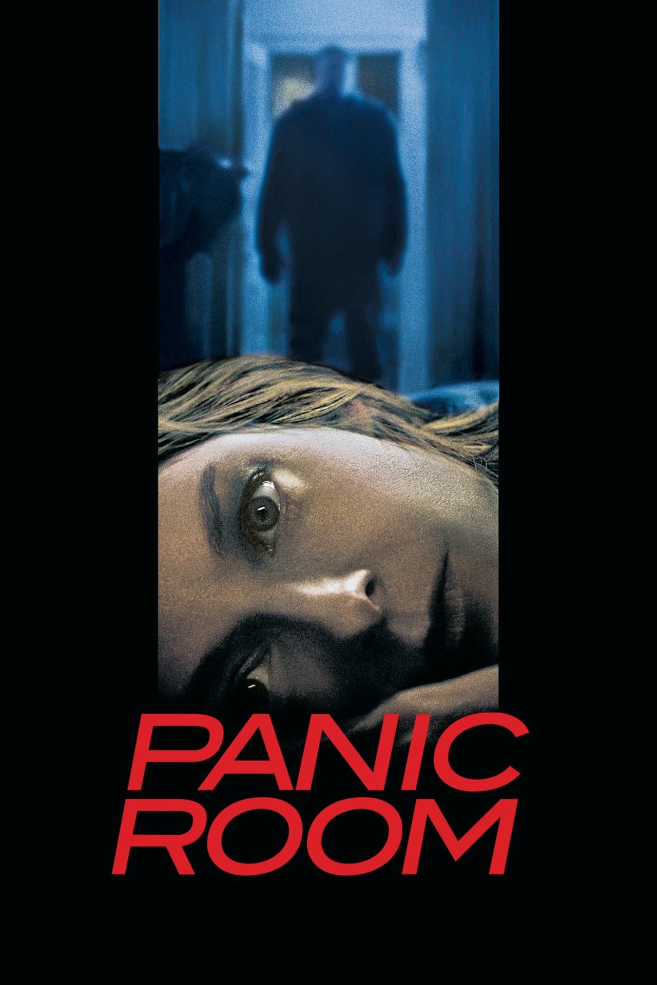 Panic Room preview 2