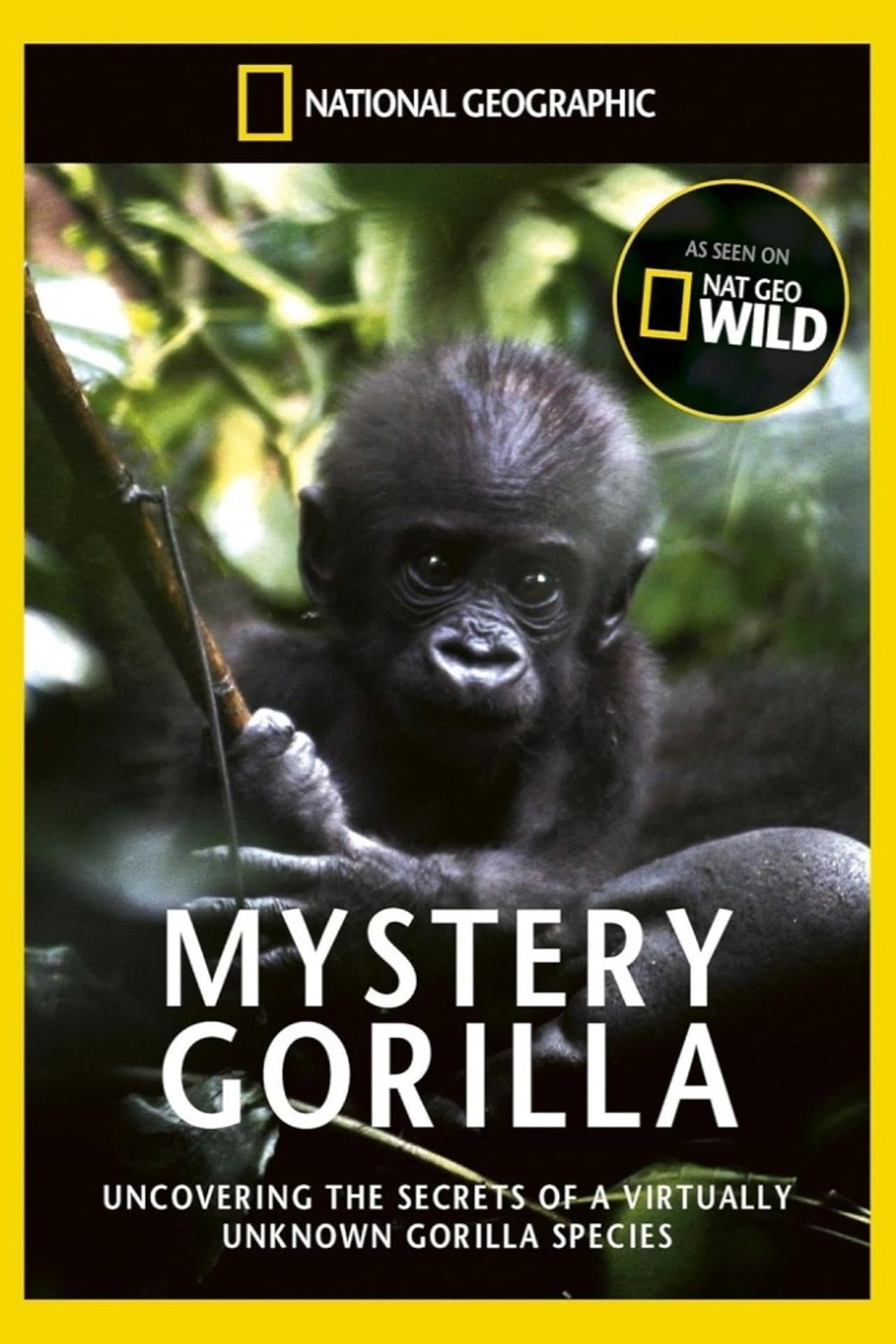 De mystiske gorillaer preview 2