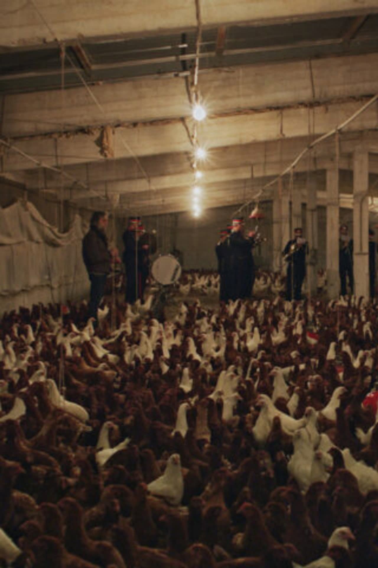 If I Ever Get A Monument Chickens Will Do It For Me (Requiem#3) preview 1