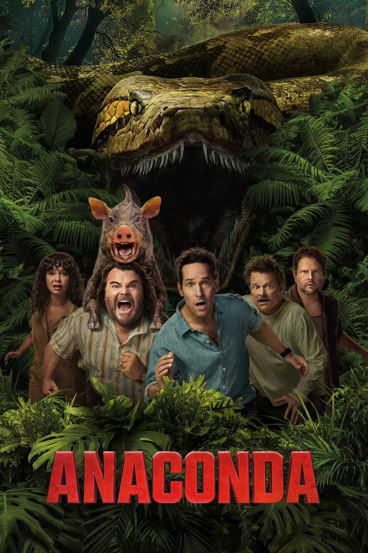 Anaconda preview 2
