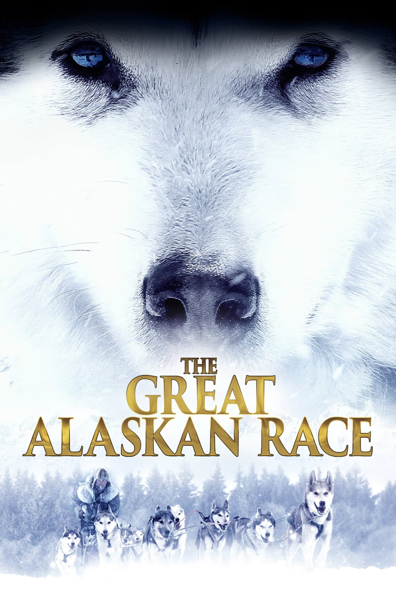 The Great Alaskan Race preview 2