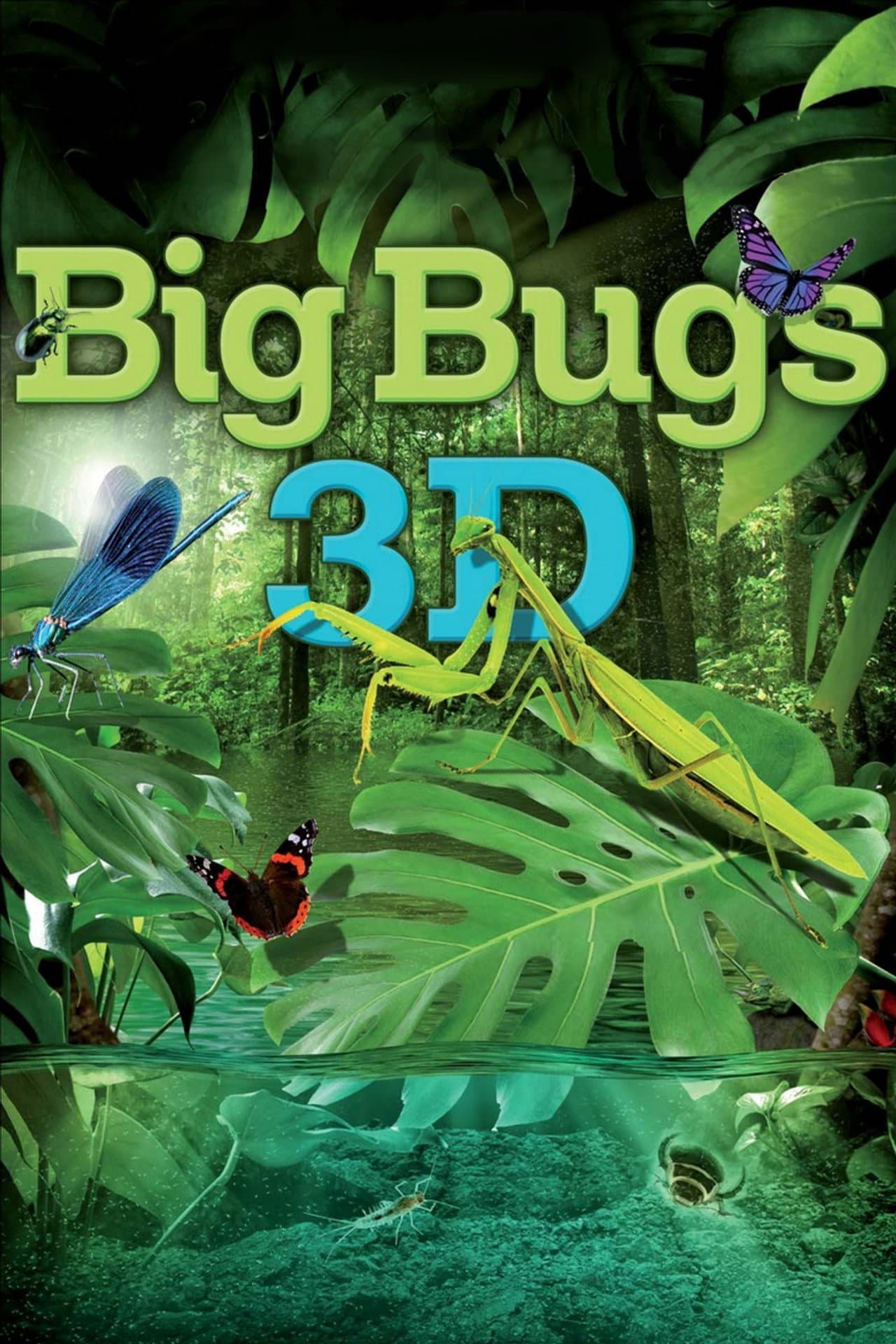 Big Bugs preview 2