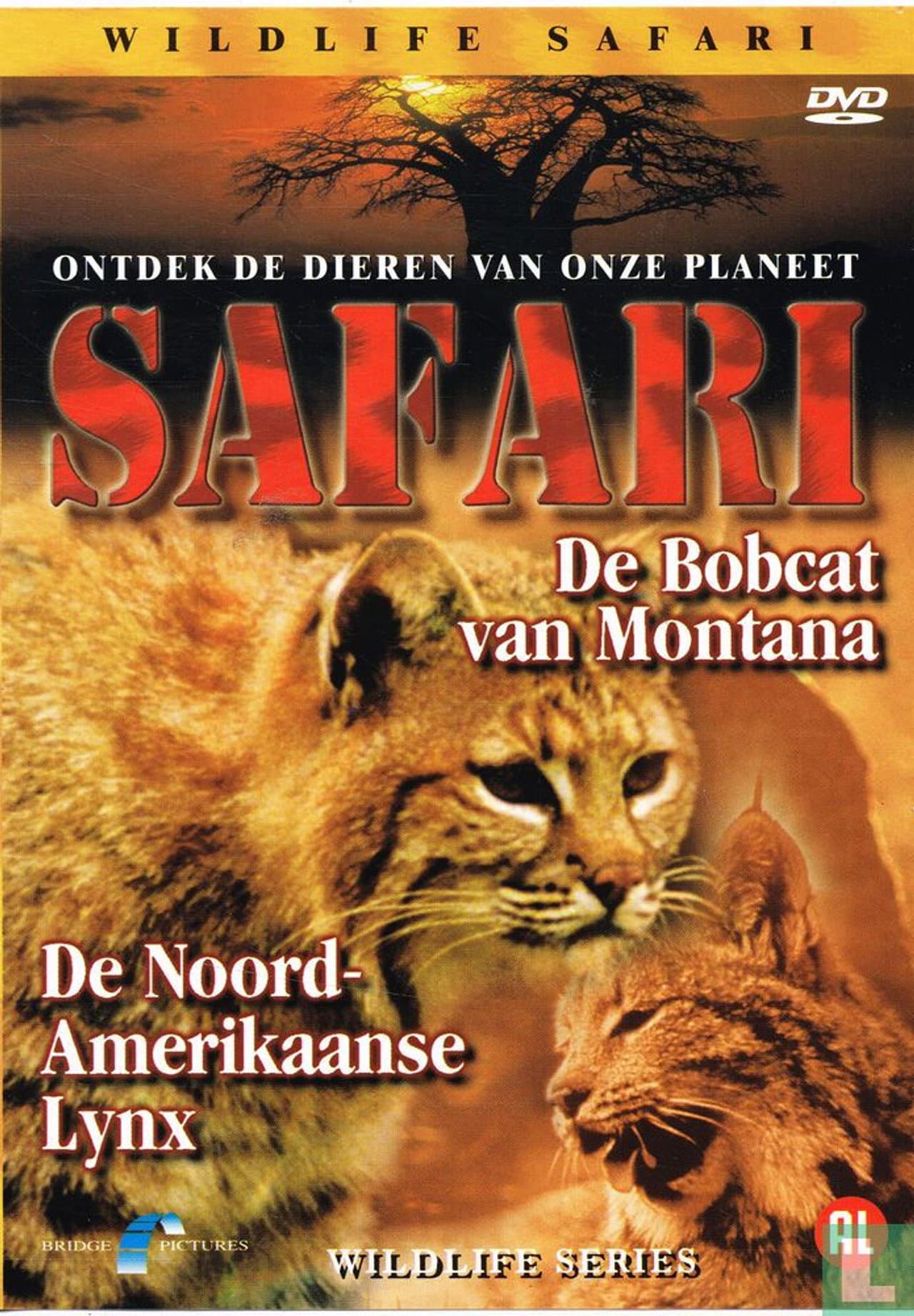 Safari: De Bobcat van Montana / De Noord-Amerikaanse Lynx preview 1